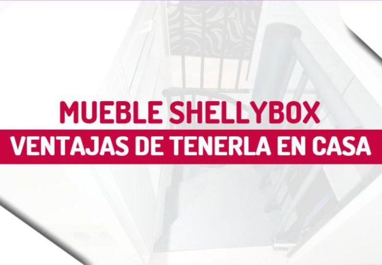 imagen post sobre las ventajas de tener el mueble shellybox